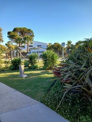 Cassia Gardens 2